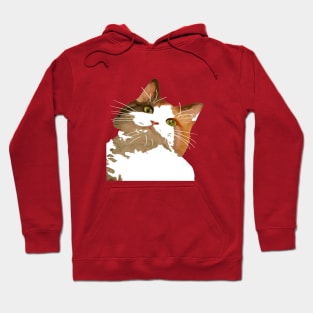 Cute Calico Cat With Tilted Head Hoodie